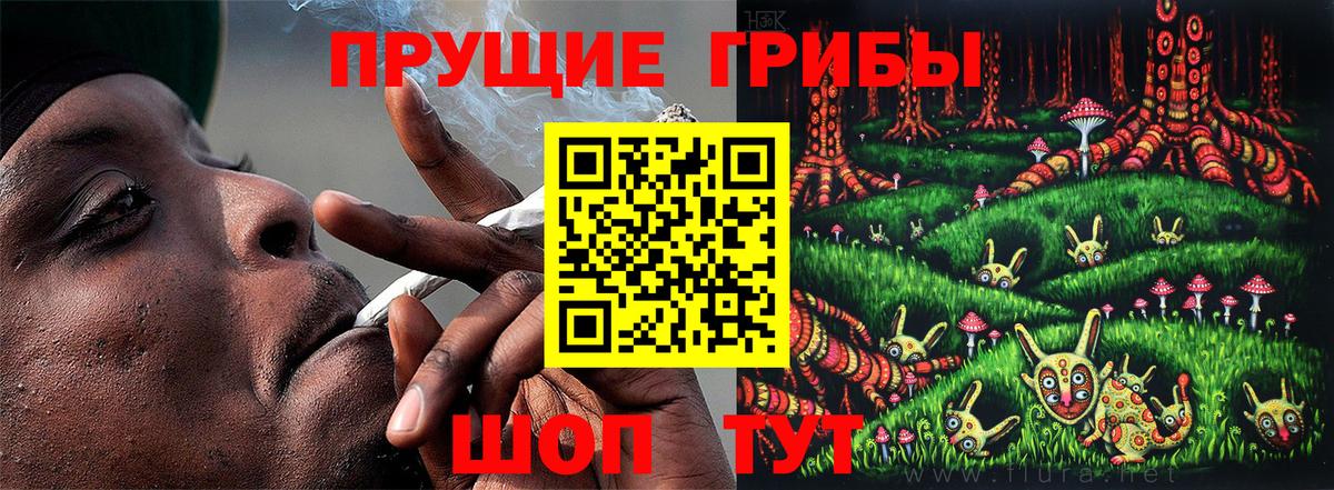 Псилоцибиновые грибы ЛСД Ахтубинск