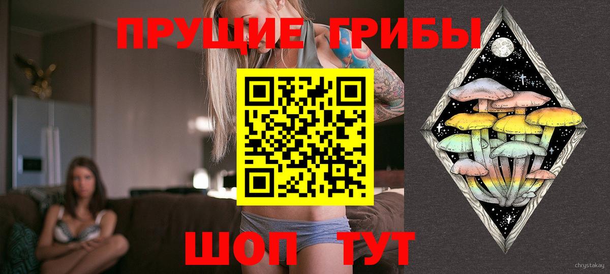 Ахтубинск  Псилоцибиновые грибы GOLDEN TEACHER  Вход с VPN 